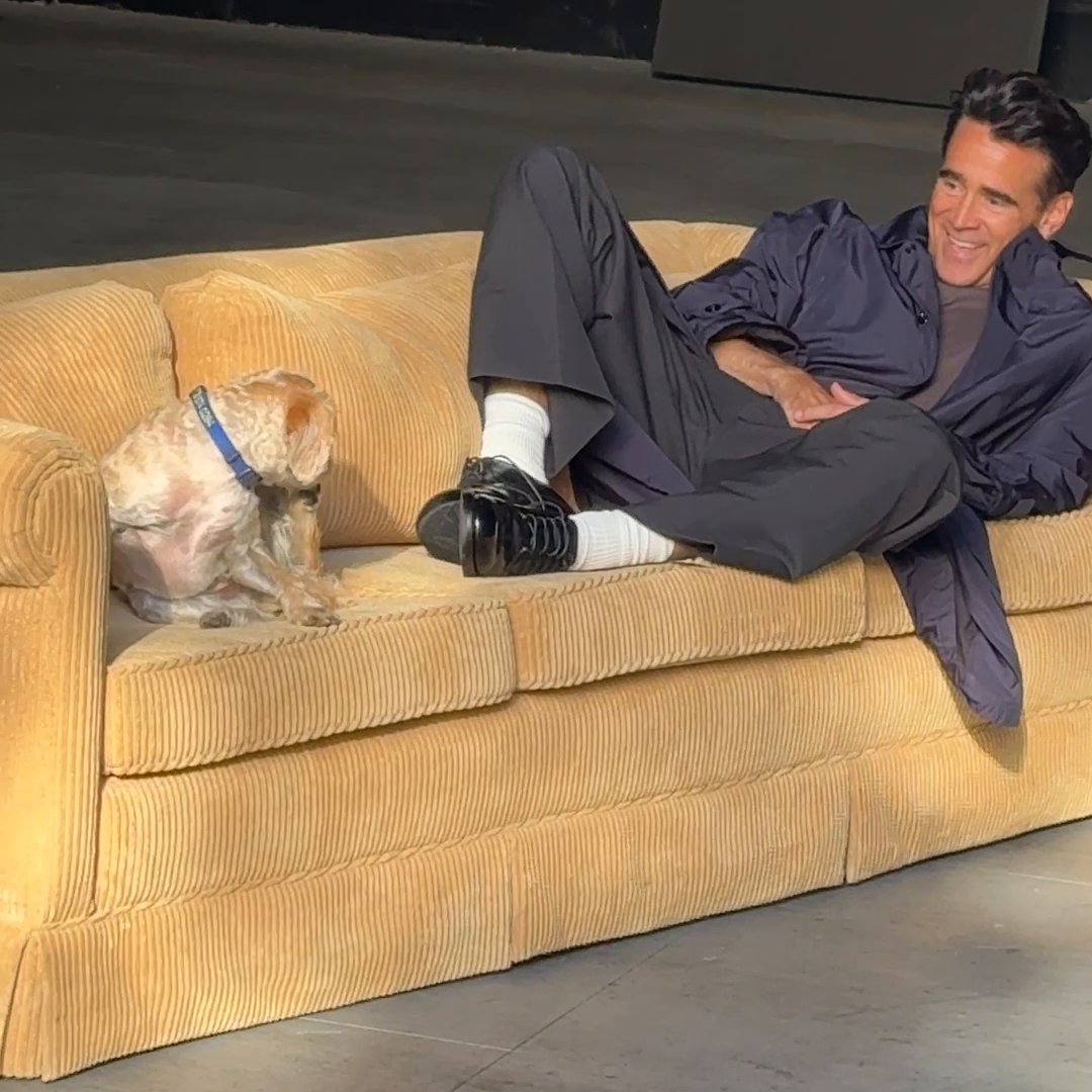 Colin Farrell being very cute with a very cute dog. As a treat.