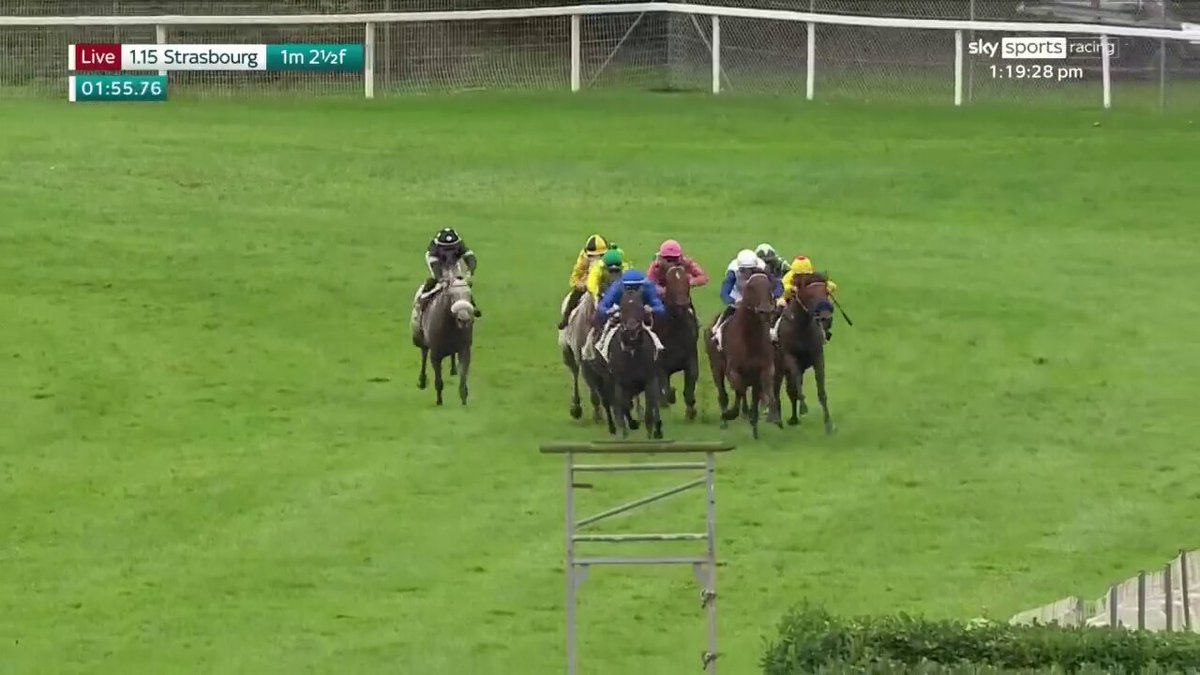 👑👑👑１番人気で完勝👑👑👑 ８月の🇬🇧ヨーク競馬場、英インターナショナルＳにオンブズマンのペースメーカー役として追加登録で参戦した🇫🇷バーキャッスルが27日、🇫🇷ストラスブール競馬場のリステッドに出走📖Ｃ・デムーロ騎手を背に１番人気に応えています マイク（藤本真育）@日刊スポーツ