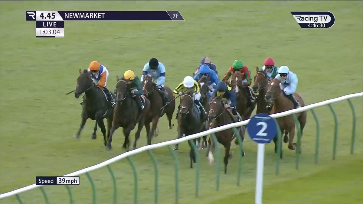 Sheโll be a better filly for the future. ACT OF KINDNESS the 3,700,000gns purchase from the Tattersalls Book 1 sale finishes third on debut for Charlie Appleby at Newmarket! ๐ต She traveled well, but ran green into the dip & was looked after when beat.