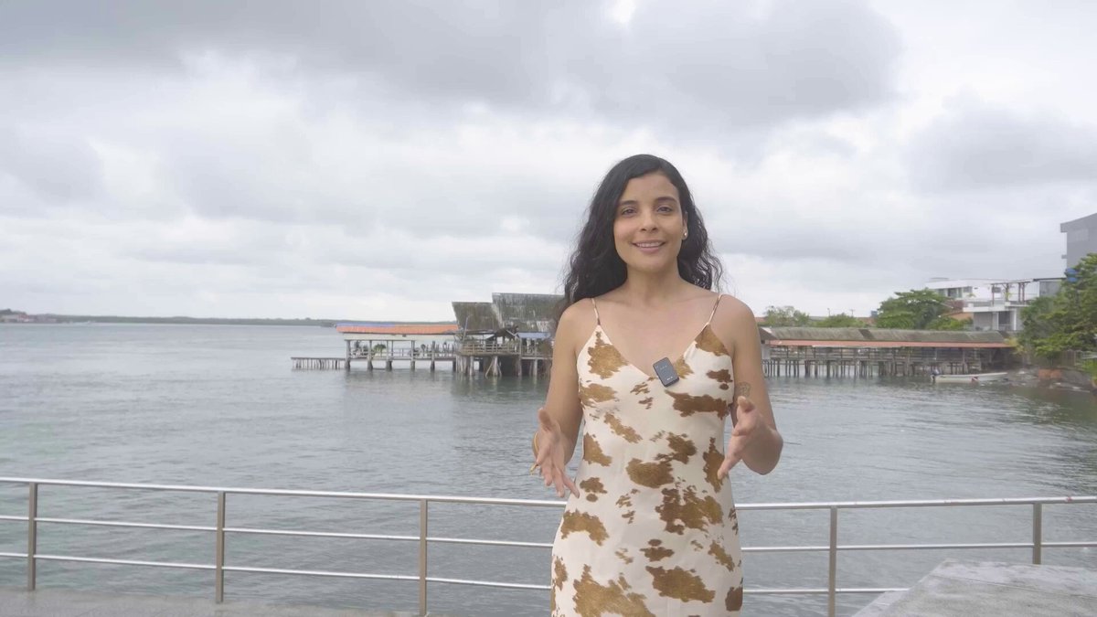 De Tumaco llevo el amor por el río y el mar, pero también las cicatrices de haber vivido las desigualdades de un país centralista. Crecí en un territorio lleno de riqueza, pero marcado por el abandono. Esa realidad me hizo fuerte y me convirtió en una mujer de lucha. Hoy levanto la voz por los jóvenes, los adultos mayores, las comunidades afro, indígenas y diversas. También por cada río, páramo y bosque que merece protección. 🌊🌿 Trabajemos firmes por cambiar esta historia