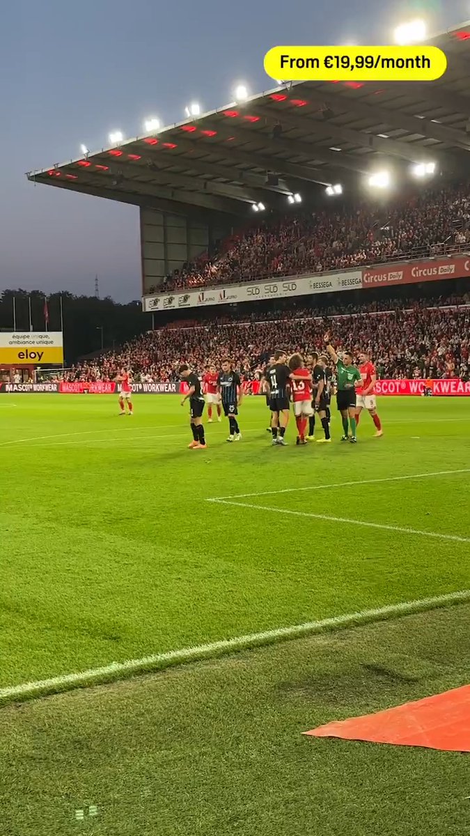 🧐 | Le rouge de Fossey en image #STACLU
