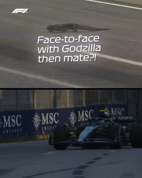 Ready to meet Godzilla III 🦎 #F1 || #SingaporeGP 🇸🇬