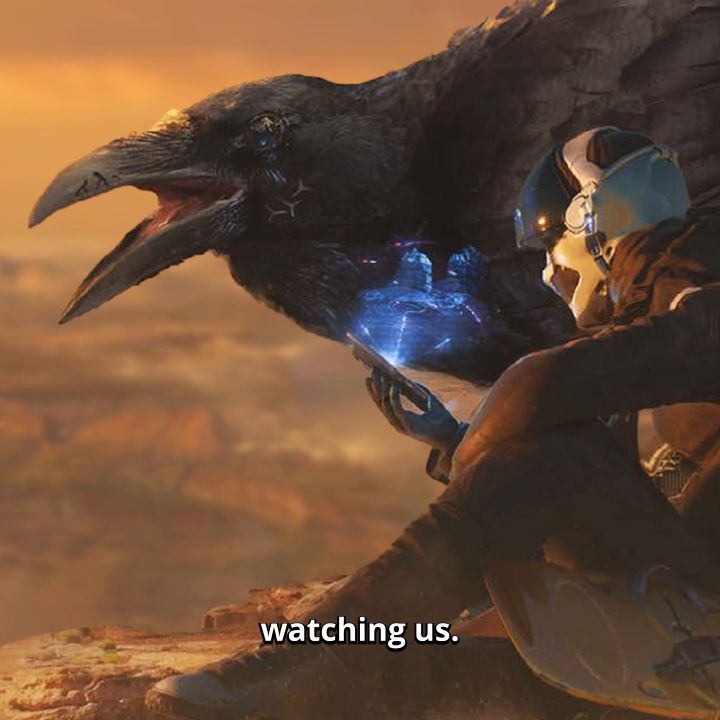 Yes... the Ravens are watching us. 👁️