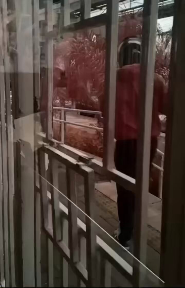 Ladrões matam homem e filha de 9 anos durante assalto na zona leste de São Paulo De acordo com testemunhas, o criminoso abordou as vítimas quando retornavam do mercado e exigiu a senha do celular do pai. Diante da recusa em passar a senha, o assaltante atirou contra o homem e a criança. Ambos não resistiram aos ferimentos.