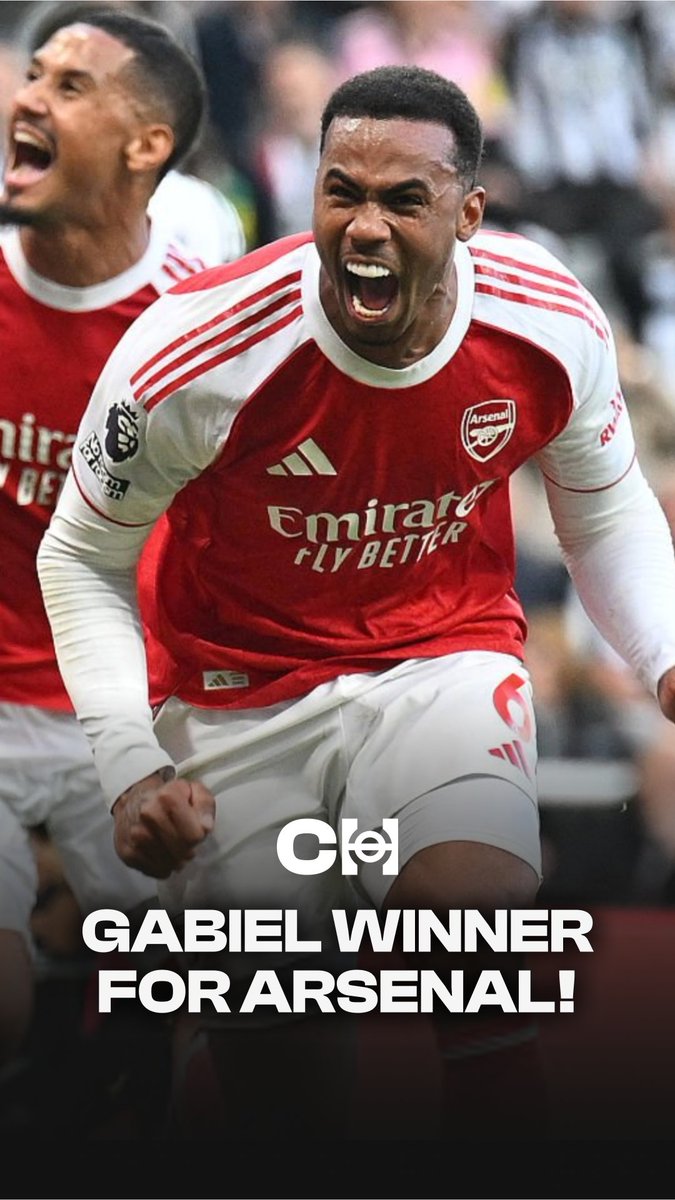 Gabriel’s winner for Arsenal captured the stands. 😍 📲 Arsenal Japan