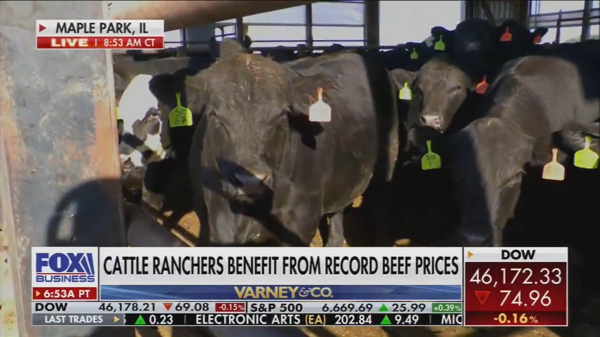 Illinois farmer: Some of the price drop we've seen on the grain side came from the tariffs, and we're seeing input costs higher because of the tariffs. The crops are going to lose money. We need some support.