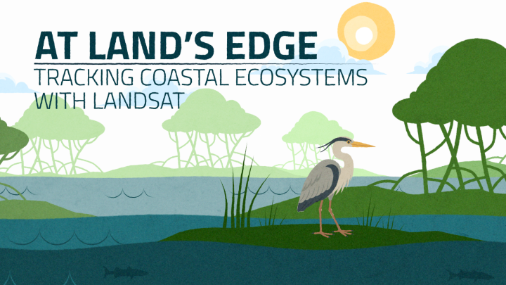 For over 50 years, @nasa/@usgs Landsat satellites have monitored Earth’s coastlines. This data helps us understand how coastal ecosystems are changing—mangrove forests impacted by hurricanes, expanding meadows of eelgrass, changes in water quality, and more.