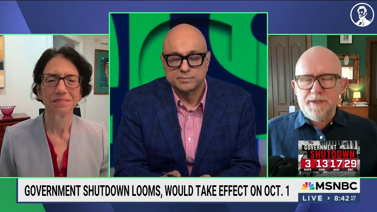 Democrats need to hold the line and let Republicans own this shutdown. Then we can get back to the matter at hand: the Epstein files. Watch Rick Wilson explain on MSNBC: