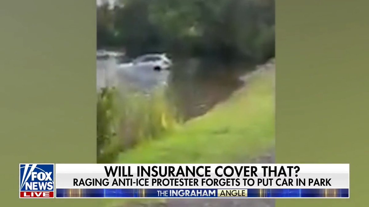🚨WATCH: Anti-ICE protester screams at agents… but forgets to put her car in park. Seconds later, it rolls straight into a LAKE. 🌊