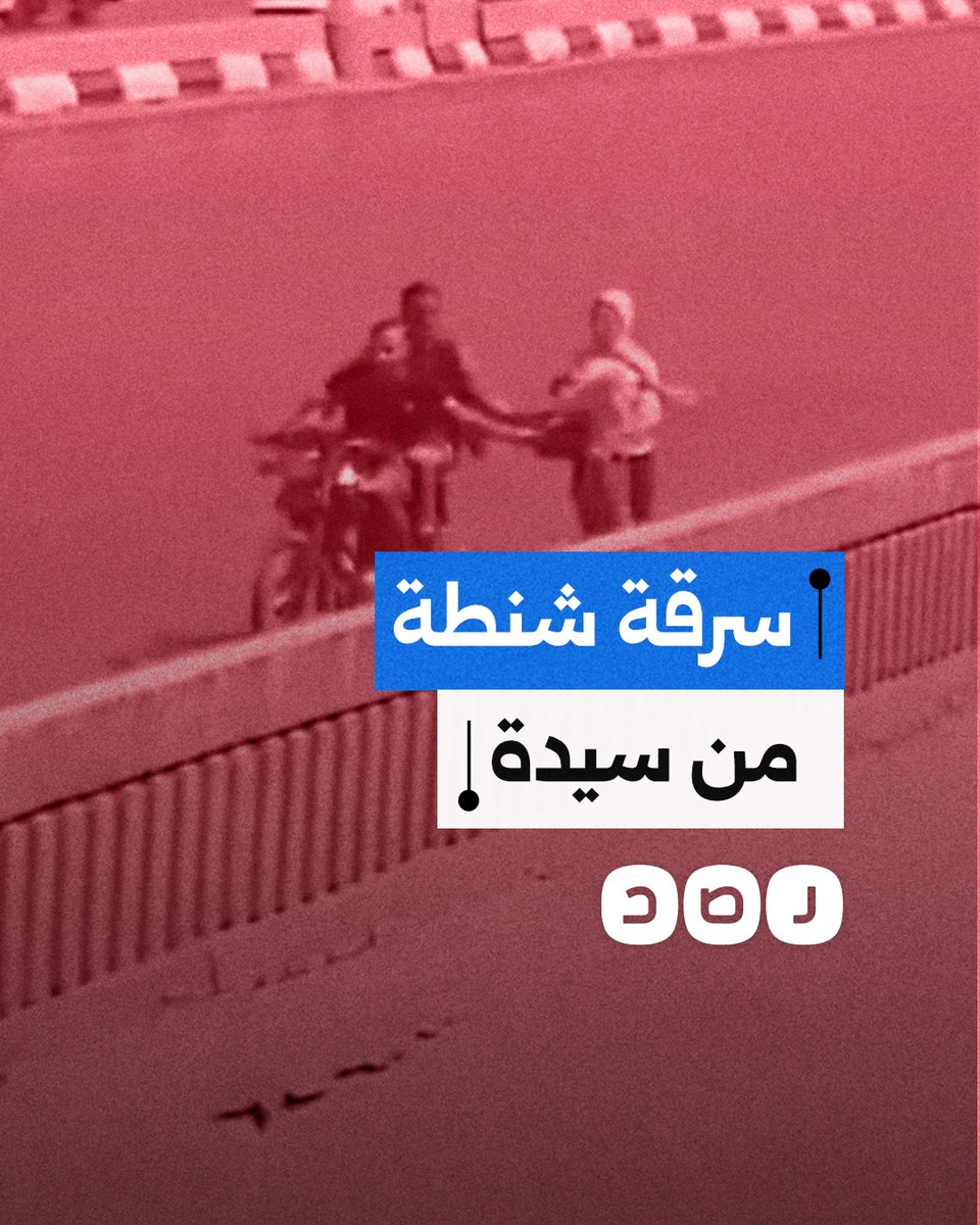 كاميرا مراقبة توثق لحظة سرقة حقيبة سيدة على يد شابين