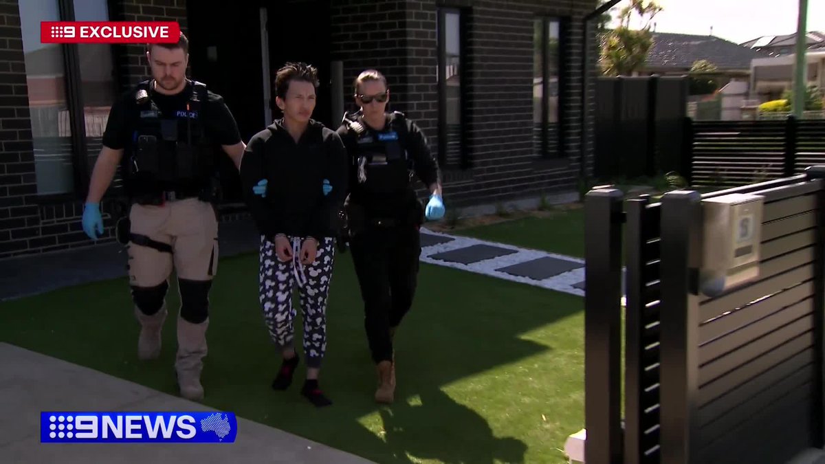 #EXCLUSIVE: A fraudster who spent millions on new teeth, luxury clothes and cars has been jailed for seven years and four months. While the victim was away in China, he stole both her mail and her identity. Neary Ty #9News