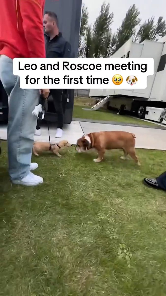 When Leo and Roscoe met for the first time... They became teammates in red 🔴🥹 (via Charles Leclerc)