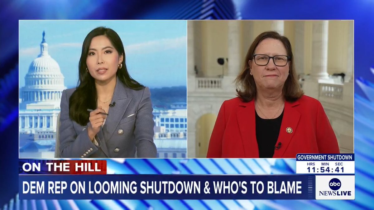 Rep. Julie Johnson, D-Texas, says Republicans put forth a budget that they knew would never get support from Democrats.