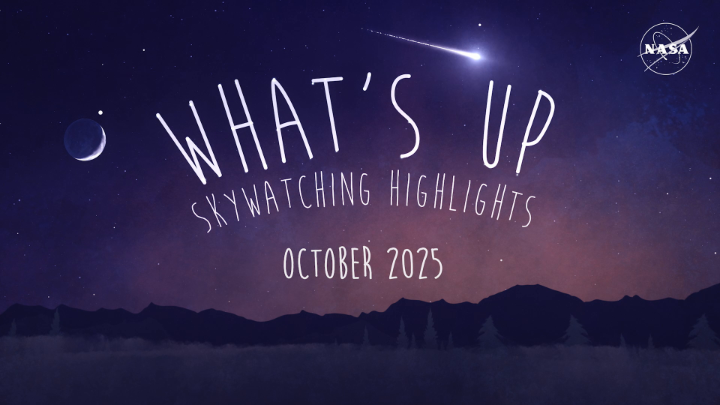 Keep an eye on the night sky in October—you might catch a falling star! The Orionid meteor shower reaches its peak on the night of Oct. 21-22, and the Draconids will also be visible earlier in the month. Check out what else to watch out for: