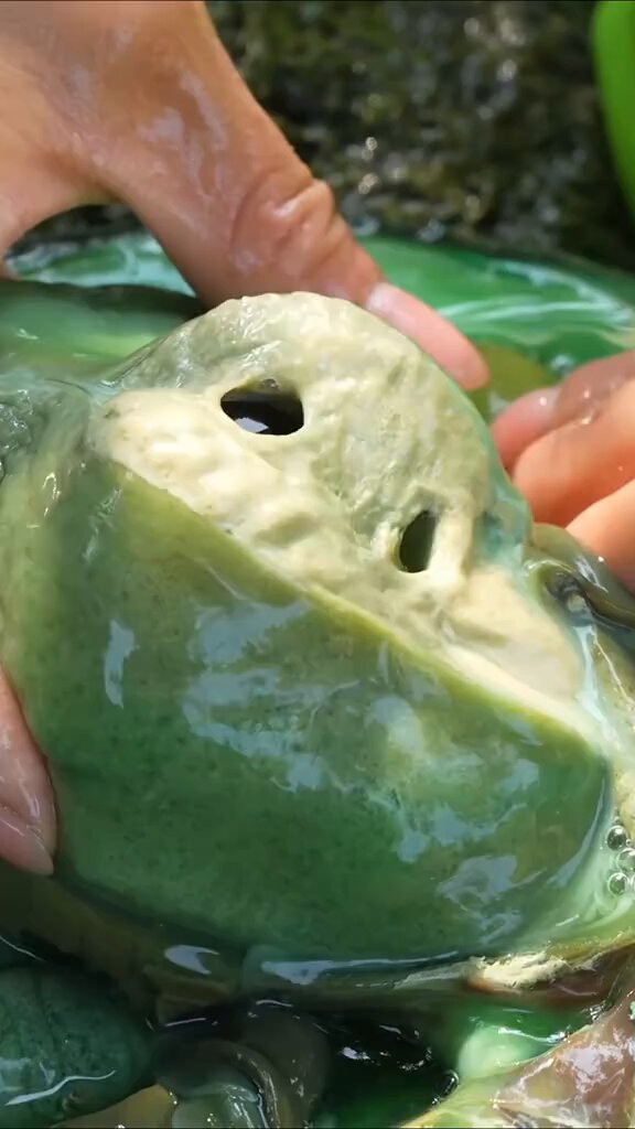 never expected a green diamond and pearl inside this oyster