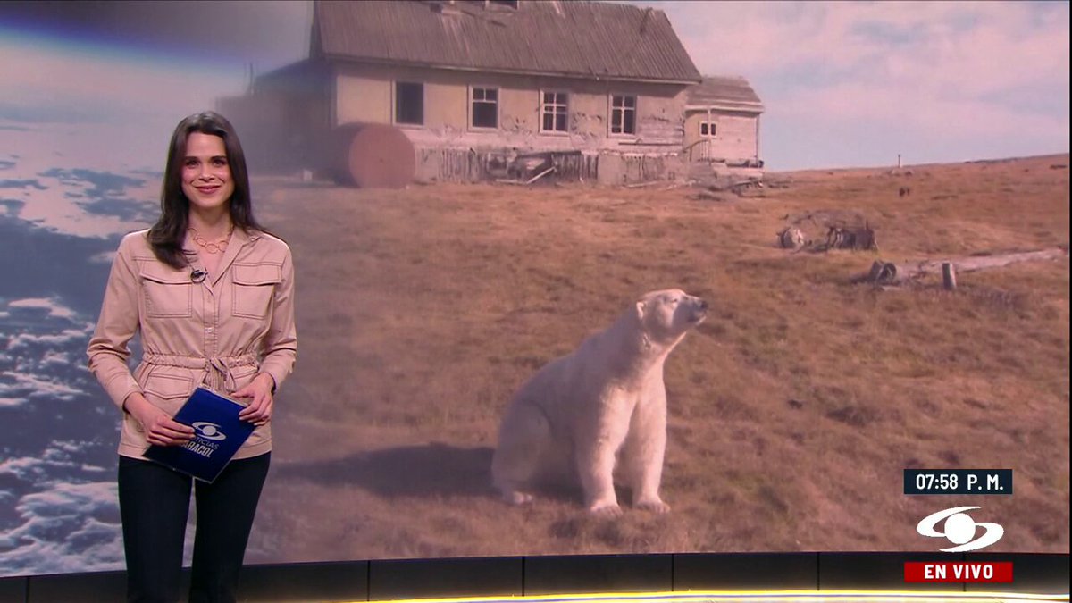 En una pequeña isla rusa una estación de investigación polar abandonada se convirtió en hogar de unos hermosos e imponentes huéspedes. Los detalles en