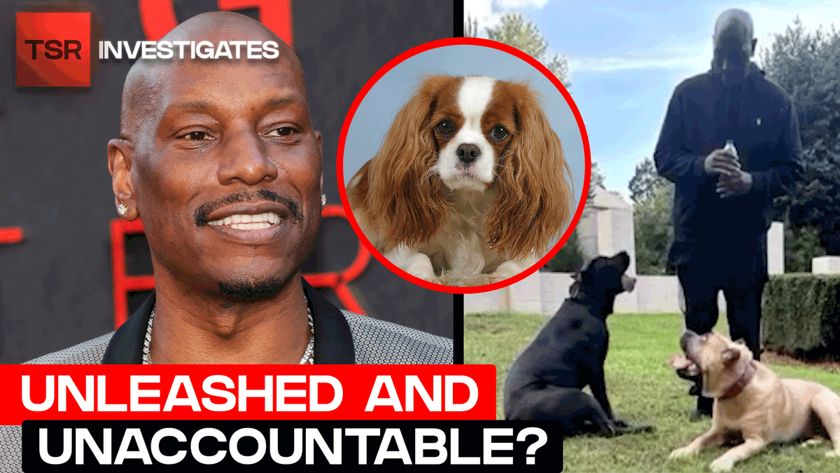 Tyrese Gibson responds after police accuse his dogs of killing a neighbor’s dog, and say he refused to hand them over. Now there’s an arrest warrant, but he says the real story is being twisted… #TSRInvestigates // WATCH: