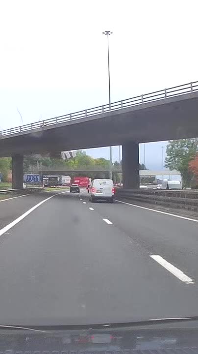 Driver dies after timber crashes onto motorway