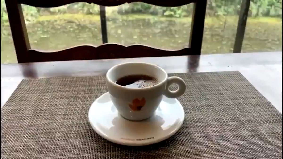 Brazil's coffee industry explores Jacu bird coffee, a high-end Arabica processed through the bird's digestive tract, as US tariffs impact exports
