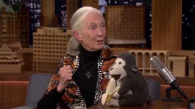 The late great Dr. Jane Goodall & the Jane Goodall Institute reflects on her legacy and hope for the world. Rest in Peace, Jane. #ThankYouJane #RememberingJane 💚 Original Air Date: April 19th, 2019