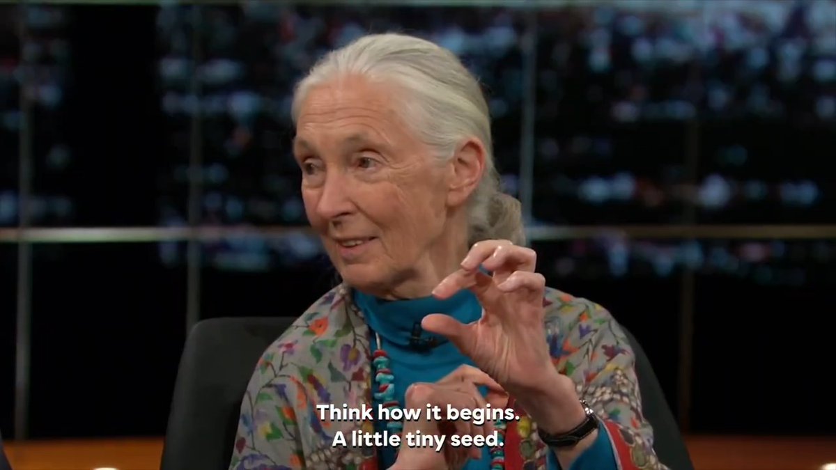 "Young people of all ages around the world choosing projects to make the world a better place, rolling up their sleeves, being empowered to take action. That’s what gives me the most hope." – Dr. Jane Goodall 💚