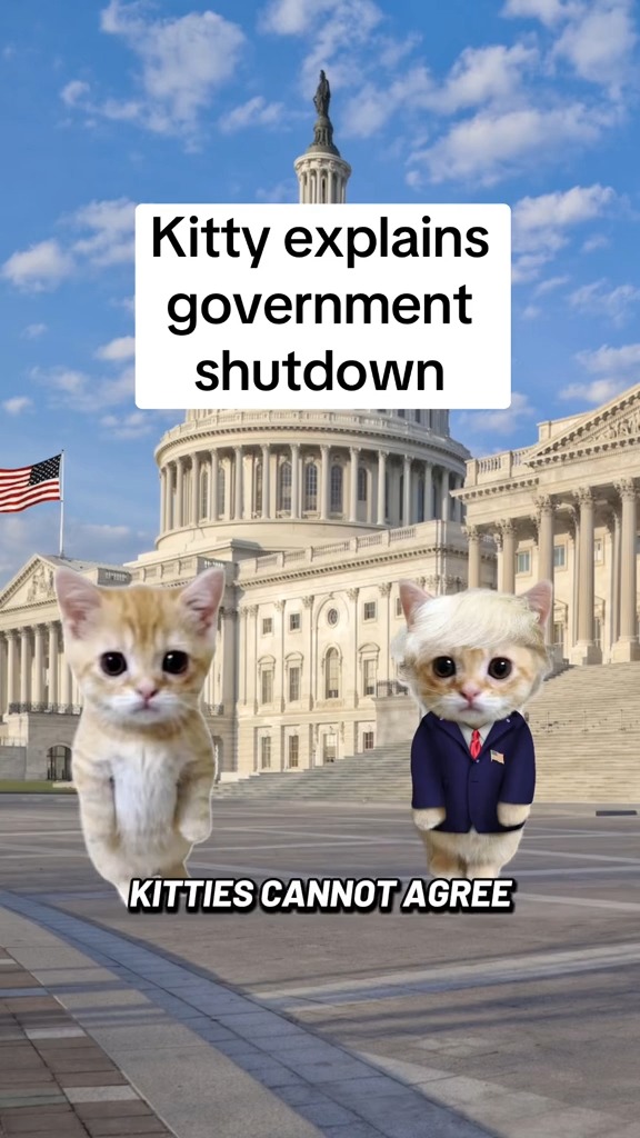 the dems are really bad at this 🤦‍♂️
