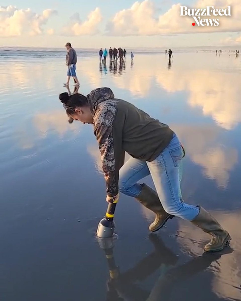 Razor Clam Digging