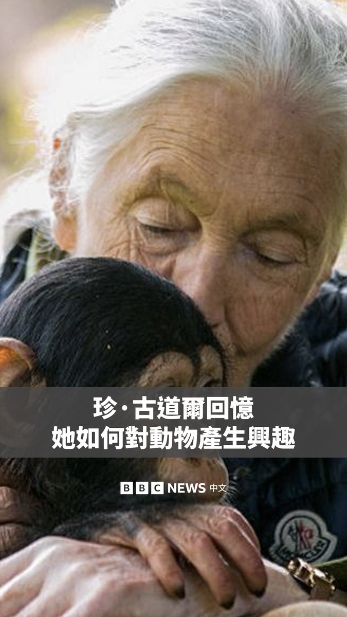灵长类动物学家、动物权益活动家珍·古道尔女爵士（Dame Jane Goodall）逝世，享年91岁。 她曾彻底改变研究野生黑猩猩的方式，帮助揭示了人类与黑猩猩的亲缘关系。她还孜孜不倦地致力于世界各地的保护项目。 1980年，她在接受BBC访问时，谈到自己是如何对动物产生兴趣的。