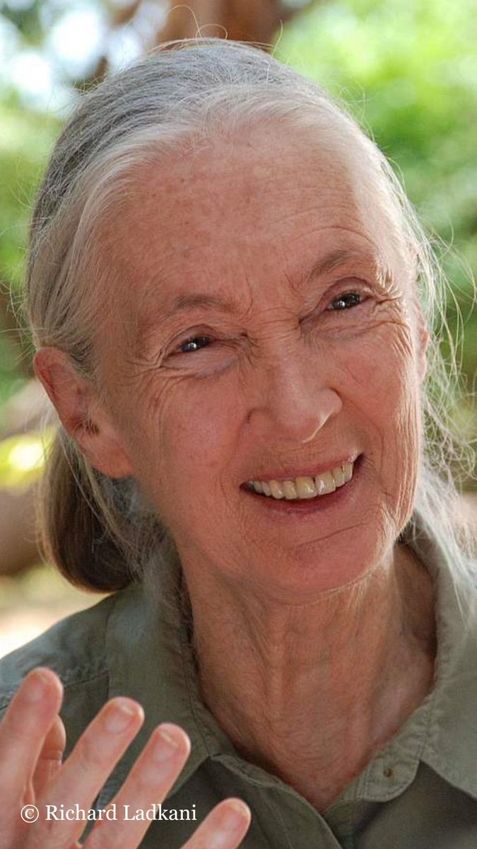 WWF joins the world in mourning the loss of Dr. Jane Goodall, a voice of hope, compassion, and courage for our planet. She reminded us that when we come together, we can shape a better future for people, wildlife, and the natural world we share. Let’s celebrate her life and honour her legacy with the same determination and love she lived by. Together, we can carry her vision forward. #JaneGoodall #ForNature #TogetherPossible