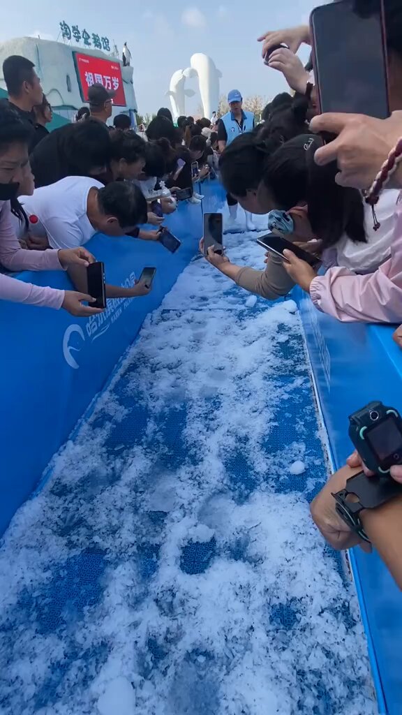 Çin'de bir akvaryumdaki sırt çantalı penguenler ilgi odağı oldu.