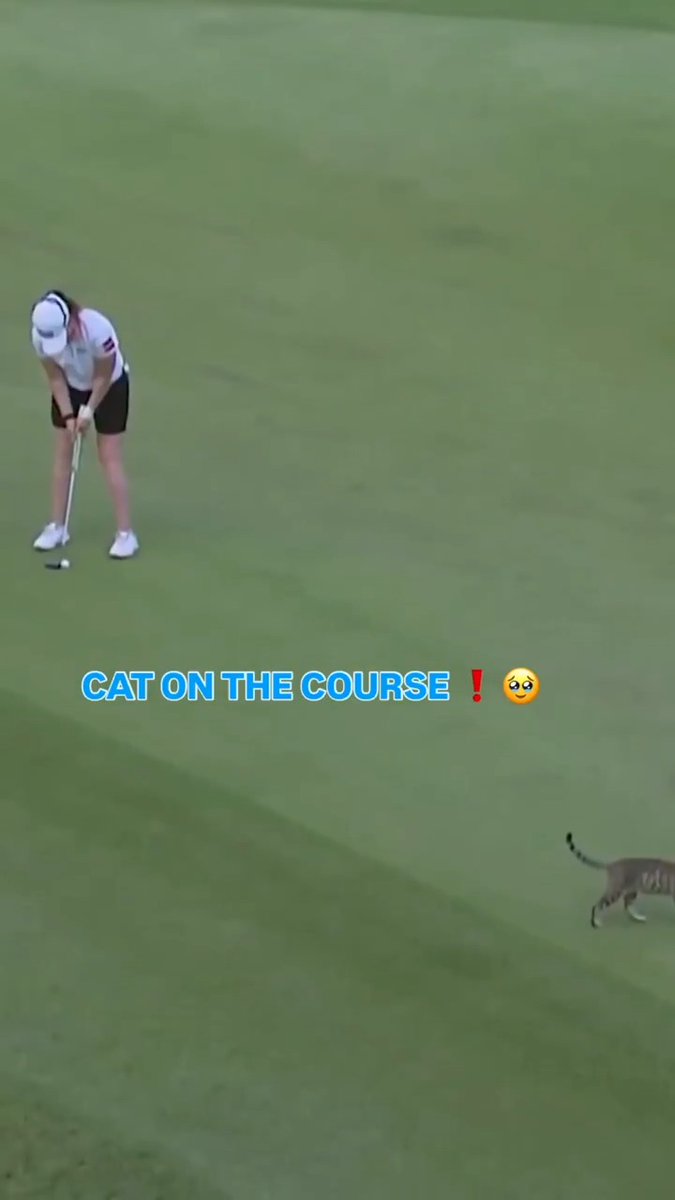 Local resident stopping by for some LPGA action up-close at Hoakalei. 🐈🌴