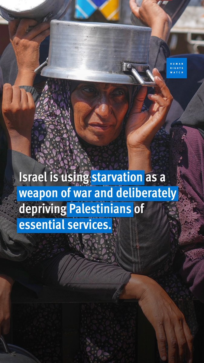 Israeli authorities have once again intercepted aid boats destined for Gaza. This comes as Israeli forces escalate their assault on Gaza City and continue starving the population. Flotillas are filling the void amid governments’ inaction. Learn more: