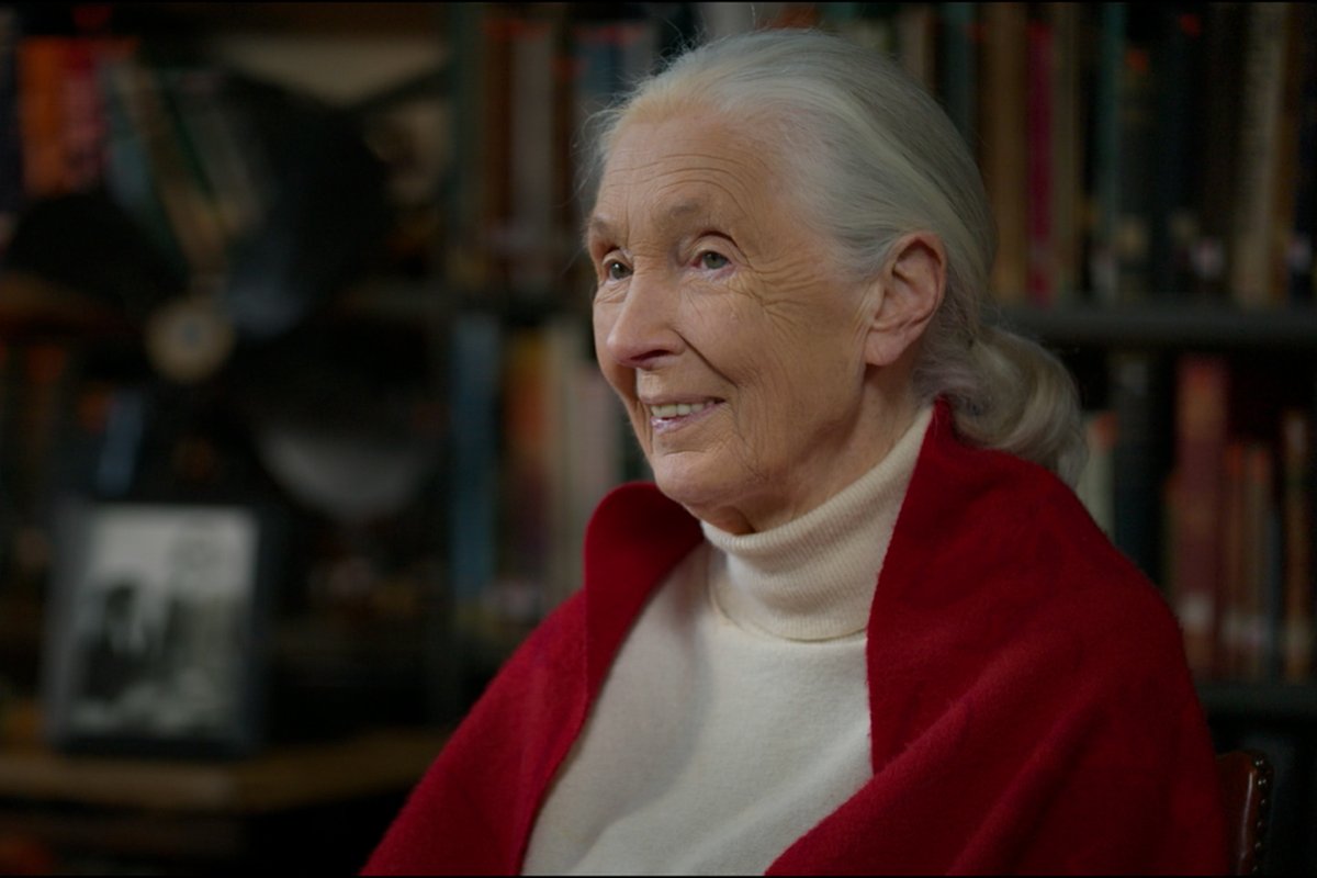 Thank you, Jane.