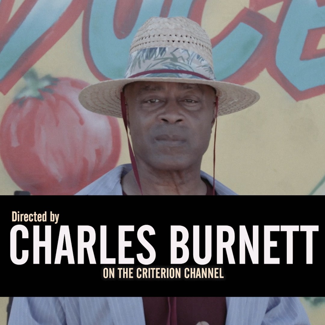 Evening viewing recommendation? On Criterion Channel, celebrate the work of Charles Burnett — a true trailblazer of independent cinema who has brought images of Black American life to the screen with authenticity, empathy, and stirring poetry. This career-spanning collection shows the versatility and singular lyrical sensibility of this essential artist.
