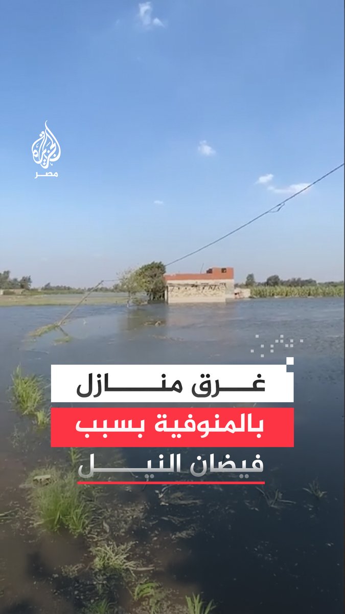 #غرق_منازل بقرية دلهمو في #المنوفية جراء ارتفاع منسوب مياه #النيل والمحافظة تدعو لإخلاء المنازل بأراضي #طرح_النهر كونها معرضة للغمر المياه.. ما التفاصيل؟