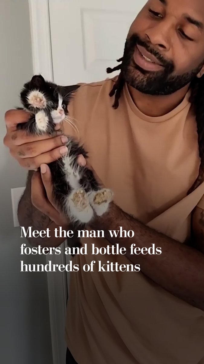 Abdul Raheem and Shamiyan Hawramani have fostered more than 200 kittens in six years. Their videos share each litter’s journey from arrivals to adoption and kitten high jinks: wrestling matches, demanding meows, hiding in paper boxes.