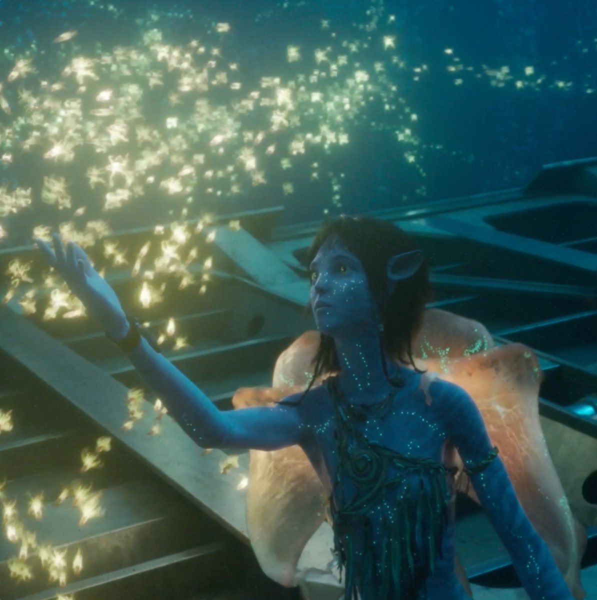 Avatar: The Way of Water is back in theatres for one week only. Experience the global phenomenon exclusively in 3D. Get tickets now.