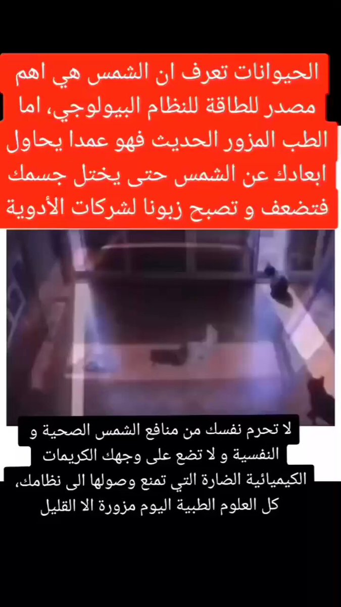 الـحيوانات تعرف أن الـشمس هي أهم مصدر للطاقة للنظام البيولوجي، أما الـطب المزور الحديث فهو عمداً يحاول أبعادك عن الشمس حتى يختل جسمك فتضعف وتصبح زبوناً لشركات الأدوية. لا تحرم نفسك من منافع الشمس الصحية والنفسية ولا تضع على وجهك الكريـمات الكيميائية الضارة التي تمنع وصولها إلى نظامك، كل العلوم الطبية مزورة إلا الـقليل.