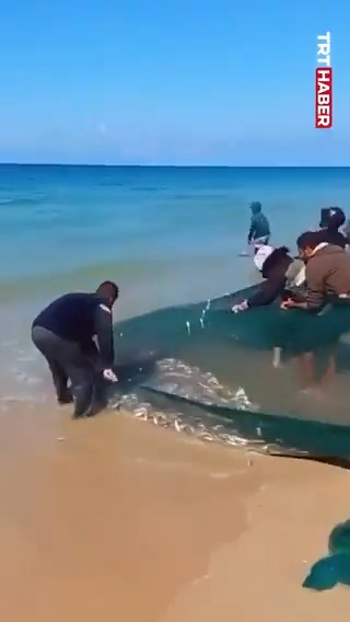 Küresel Kararlılık Filosu, Gazze'ye bereket oldu. Her fırsatta Filistinli balıkçıları hedef alan soykırımcı İsrail, filodaki aktivistleri korsanlıkla alıkoyarken Gazzeliler ağlarını balıkla doldurdu.