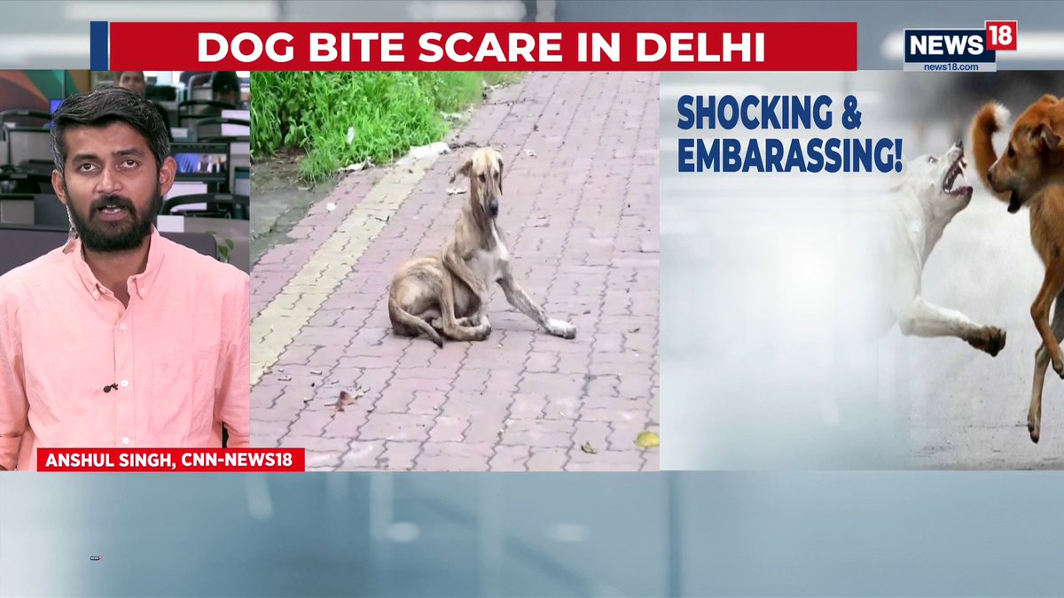 Dogs bit the Japan and Kenya coaches in Delhi during the Para Athletics Championship Some time ago, Delhi CM Rekha Gupta was saying that Delhi is ready to host the Olympics 🤡