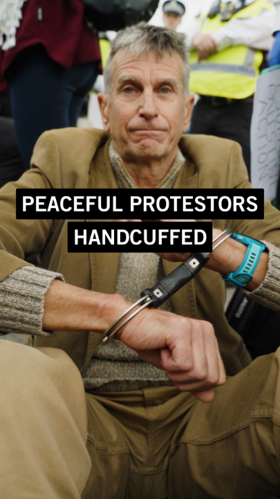 It will never stop being shocking to witness hundreds of peaceful protesters being hauled from the streets into police vans. Police chiefs have a choice about how they police protests. These arrests are in breach of the UK's international human rights obligations and should not be happening. Arresting hundreds of people for peacefully sitting down and holding a sign is not the job of the police and is a waste of their time when they could be out helping people. Amnesty has long criticised UK terrorism law for being excessively broad, vaguely worded and a threat to freedom of expression. Police responses to these peaceful protests only further confirm that our concerns are justified.