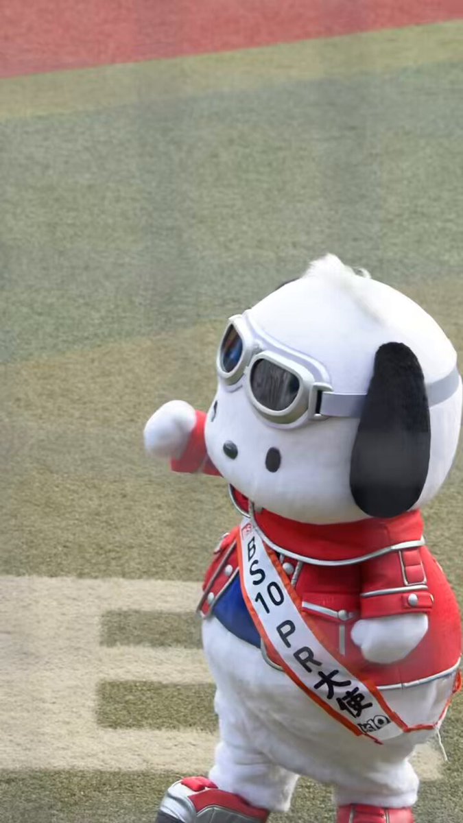 ポチャッコのオドロッテ見て🐶🤍