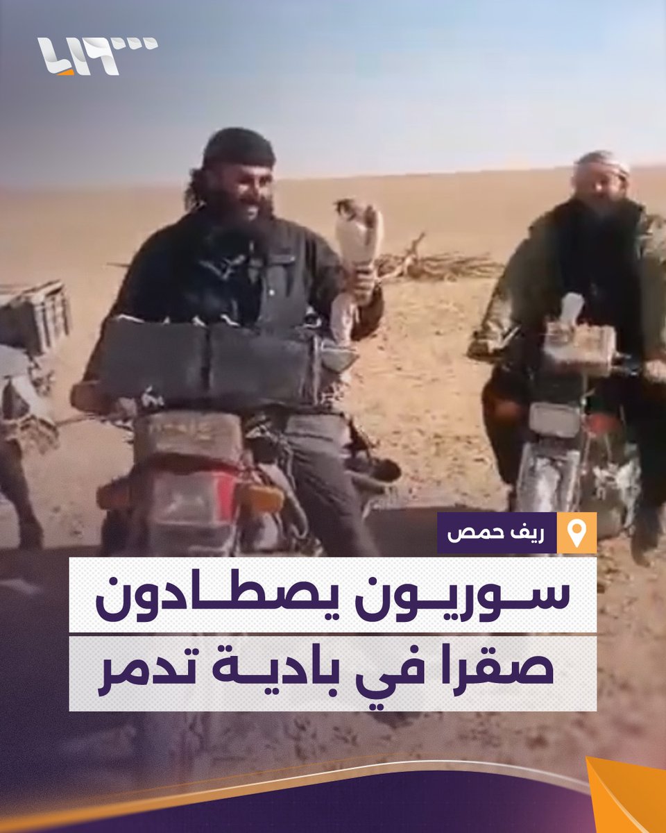سعره قد يصل إلى عشرات آلاف الدولارات.. صيادون سوريون يصطادون صقرا في بادية تدمر بريف #حمص #تلفزيون_سوريا #نيو_ميديا_سوريا