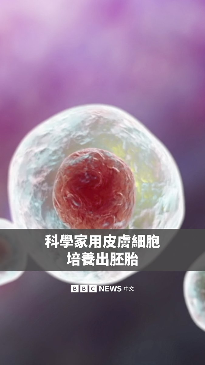 美国科学家通过人体皮肤细胞中提取的DNA,成功生成卵子并培育出早期人类胚胎。该技术有望帮助人们克服因高龄或疾病导致的不孕不育。
