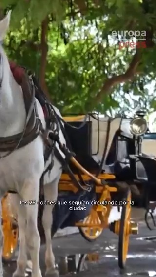 Adiós a los coches de caballos en Málaga: "Damos este paso pensando en el bienestar y seguridad de los animales"