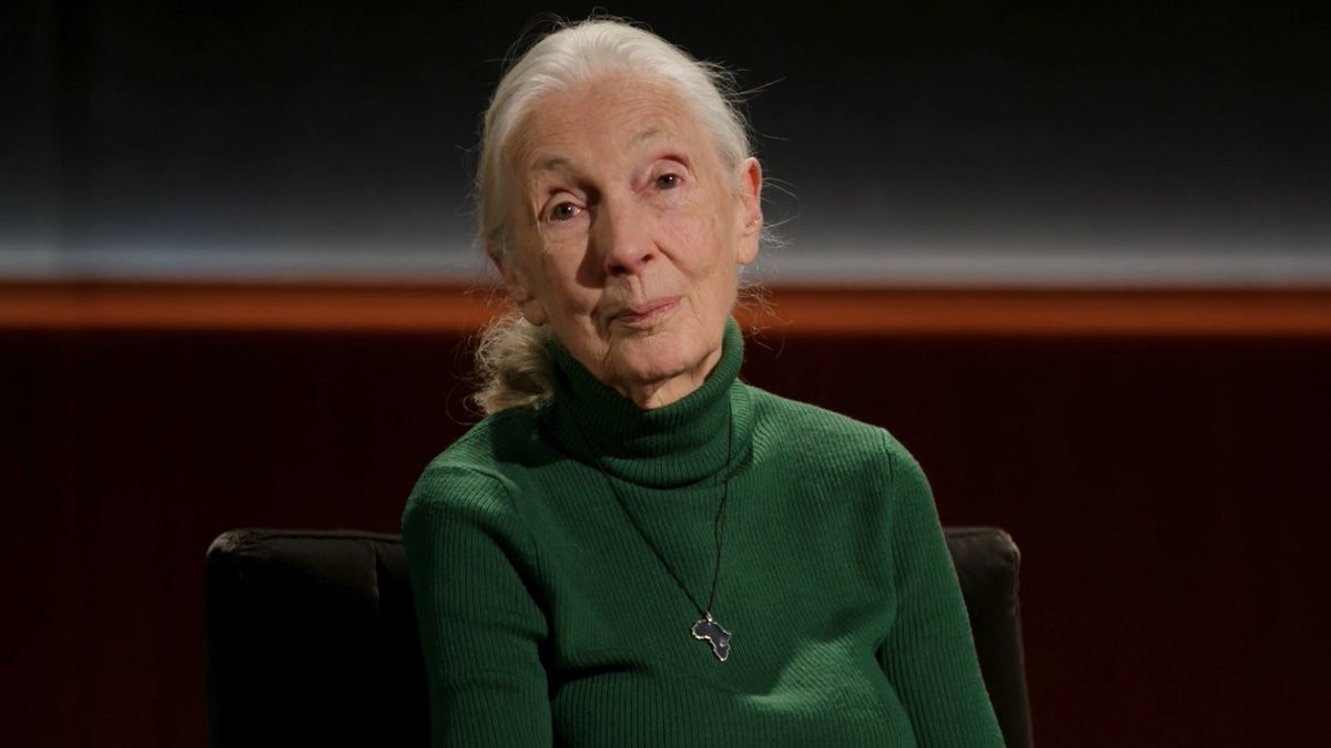 “I want to make sure that you all understand that each and every one of you has a role to play. You may not know it, you may not find it, but your life matters and you are here for a reason.” Dr. Jane Goodall shares her final message to the world in Famous Last Words.