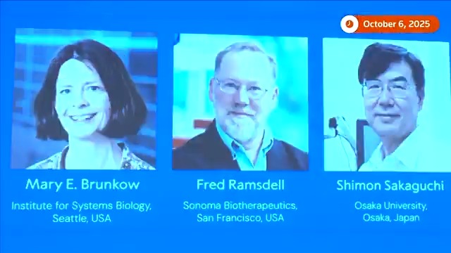 Mary Brunkow, Fred Ramsdell, and Shimon Sakaguchi received the 2025 Nobel Prize in Physiology or Medicine for discoveries in peripheral immune tolerance, opening new possibilities for treating autoimmune diseases and cancer