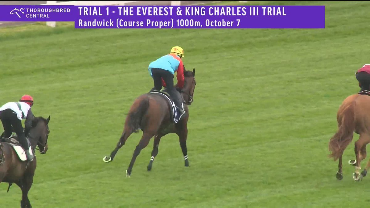 Welcome to Randwick, KA YING RISING! 🏔️ The Hong Kong superstar has his first trial in Australia alongside his TAB Everest rivals and finishes nicely! 🔥