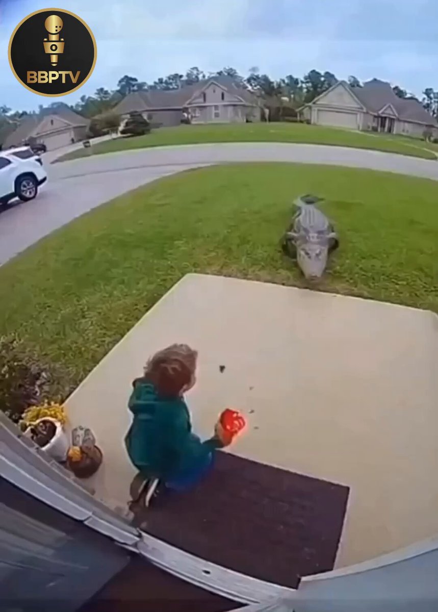 Il est dangereux d’avoir des enfants quand on réside en Floride 👀