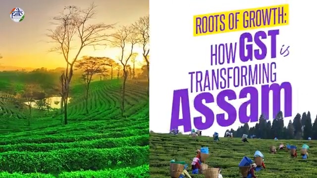 #GST Reforms 2025: How Assam’s Economy Will Gain Across Sectors The recent GST reforms are expected to ripple through various sectors of Assam’s economy. The state known for its lush tea gardens, exquisite silks, vibrant handicrafts, and rich biodiversity, will witness significant economic gains, with ease in input costs, improved price competitiveness, and rise in demand Tea estates and small growers stand to benefit from lower value-chain costs; handloom and craft cooperatives can price more affordably without burdening artisans’ margins; and tourism and hospitality will become more accessible to visitors. Taken together, these shifts will mean steadier orders for entrepreneurs and more stable earnings for workers, artisans, and farmers Key Takeaways: 🔸With 5% GST on tea, consumers expected to save ~11% and industry to gain price competitiveness 🔸Handlooms strengthen as 12.83 lakh weavers and 12.46 lakh looms benefit from 5% GST rate; to bring ~6.25% savings for consumers 🔸Tourism turns more affordable with hotels up to ₹7,500 taxed at 5% GST, boosting a sector that supports more than 6.51 lakh jobs 🔸Assam’s GI farm basket gains with Joha Rice and Boka Saul rice and Kaji Nemu products and Tezpur Litchi see ~6–11% savings, lifting demand and farm incomes Read here: #GSTReforms #NextGenGST #Assam Ministry of Finance